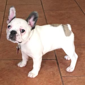 Meet your Posher, Rick